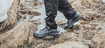 Heckel - MACSOLE® X